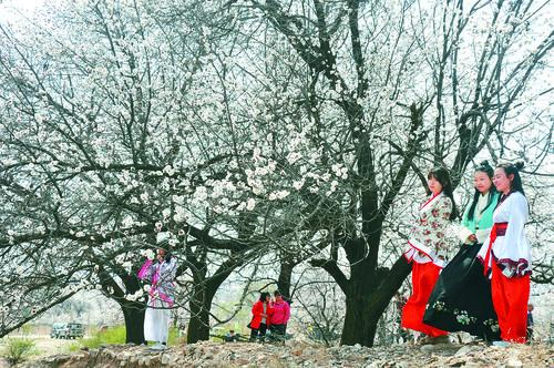 广东宏远队标志